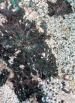27cms GEM ATACAMITE MALACHITE HALLOYSITE UNKNOWN CRYSTALS CHILE AB247