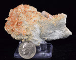 6.8cms LIMONITE IN SELENITE CRYSTAL COLLECTOR PERU MINERAL SPECIMEN TB102