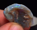 2.2 cms BLUE OPAL SHELL CLAMP FOSSIL AUSTRALIA COBBER PEDY 2000 DISCOVERY  OB141