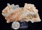 8.7cms LIMONITE IN SELENITE CRYSTAL COLLECTOR PERU MINERAL SPECIMEN TB107
