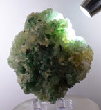 8.4cms ATACAMITE CALCITE DRUZY CHRYSOCOLLA MALACHITE LILY MINE PERU DB72