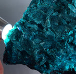 13.8cm GEM BLUE MALACHITE ps CHRYSOCOLLA BOTRYOIDAL TENTADORA MINE PERU UB222