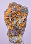6.8cms GEM RARE WULFENITE FLUORITE MINI CRYSTALS ALAMO ARIZONA USA YB55