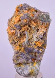 6.8cms GEM RARE WULFENITE FLUORITE MINI CRYSTALS ALAMO ARIZONA USA YB55