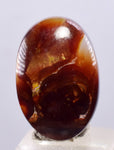 LOT 12 FIRE AGATE CABOCHONS NATURAL MEXICO MULTI COLOR GEMSTONE JEWELRY BB320