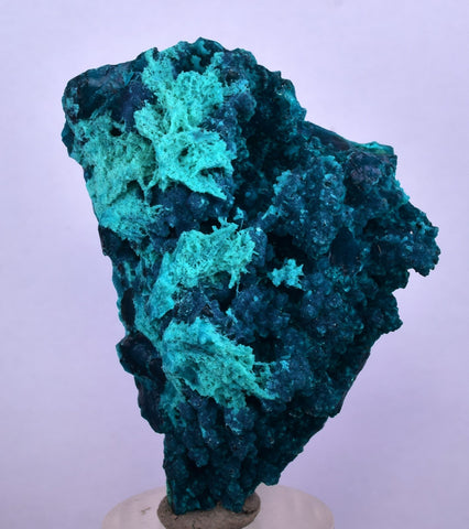 5cm GEM BLUE MALACHITE CHRYSOCOLLA PERU ROSETTE BOTRYOIDAL CRYSTAL GRAPE  UB186