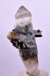 5.8cms GEM QUARTZ SCEPTER NATURAL CHLORITE INCLUDED PHANTOM CRYSTAL PERU  QB27
