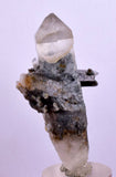 5.8cms GEM QUARTZ SCEPTER NATURAL CHLORITE INCLUDED PHANTOM CRYSTAL PERU  QB27