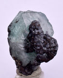2.7cms GEOCRONITE GREEN FLUORITE CRYSTAL PERU MILPO ATACOCHA PERU SHINY KB36