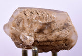 5.7 cms DESERT ROSE SELENITE CRYSTAL PERU GOLDEN SUISEKI TRANSLUCENT TB35