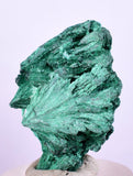 3cms MALACHITE CRYSTALS CONGO MINDINGI MINE SUPER SHINY MINERAL SPECIMEN UB92