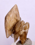 3.7 cms DESERT ROSE SELENITE CRYSTAL PERU GOLDEN SUISEKI TRANSLUCENT TB98