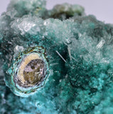 20cm GEM CHRYSOCOLLA IN SELENITE LILY MINE PERU MALACHITE STALACTITES CB359