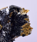 3.2cms GOLDEN RUTILE HEMATITE SPRAY NEEDLES CRYSTALS TITANIUM BAHIA BRAZIL  XB03
