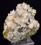 9.5cms CALCITE TOOTH DOG WITH QUARTZ CRYSTALS PERU SHINY MINERAL SPECIMEN GB46