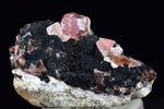 1.8cms GEM RHODOCHROSITE CRYSTALS PERU UCHUCHACCUA MINE MINERAL SPECIMEN RB480