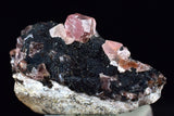 1.8cms GEM RHODOCHROSITE CRYSTALS PERU UCHUCHACCUA MINE MINERAL SPECIMEN RB480