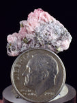 2.2cms RHODOCHROSITE PYRITE CHINA CRYSTAL RHOMBOHEDRAL MINIATURE RB645
