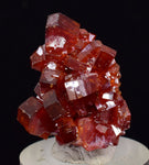 2.7cm VANADINITE CRYSTAL BARITE MIBLADEN MOROCCO MINIATURE MINERAL SPECIMEN WB20
