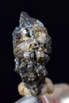 1.2cms NATIVE SILVER WIRE PERU UCHUCCHACUA MINE MINERAL SPECIMEN HB260