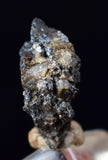 1.2cms NATIVE SILVER WIRE PERU UCHUCCHACUA MINE MINERAL SPECIMEN HB260