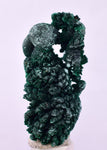3.9cms MALACHITE CRYSTALS MINERAL SPECIMEN AHOULI MINES MOROCCO UB230