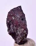 1.9cms PROUSTITE PYRARGIRITE RUBY SILVER PERU UCHUCCHACUA MINE HB274