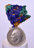 2.5cms AZURITE MALACHITE CRYSTALS MINERAL SPECIMEN AHOULI MINES MOROCCO UB220
