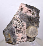 6.5cms PROUSTITE RED RUBY SILVER MINERAL PERU UCHUCCHACUA MINE SPECIMEN H220