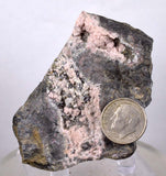 6.5cms PROUSTITE RED RUBY SILVER MINERAL PERU UCHUCCHACUA MINE SPECIMEN H220