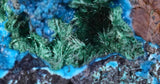 3.7cms CHRYSOCOLLA GRAPE BOTRYOIDAL PREMIUM PERU SPHERES CRYSTALS CLUSTER CB35