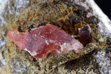 6.4cms GEM RHODOCHROSITE CRYSTALS PERU UCHUCCHACUA MINE MINERAL SPECIMEN RB395