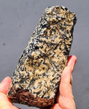 2.5KG MAGNESIOHASTINGSITE CRYSTALS HORNBLENDE PERU BLACK EDENITE HUDSONITE IB40
