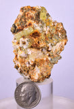 5cms YELLOW APATITE CRYSTALS IMILCHIL MOROCCO MINERAL SPECIMEN AB237