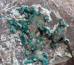 14.5cms DIOPTASE CRYSTALS PERU QUARTZ CHRYSOCOLLA MINERAL SPECIMEN KB41