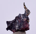 0.9cms NATIVE SILVER WIRE PERU UCHUCCHACUA MINE MINERAL SPECIMEN HB220
