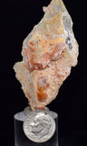 6.8cms LIMONITE IN SELENITE CRYSTAL COLLECTOR PERU MINERAL SPECIMEN TB108