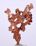 5.4cms NATIVE COPPER PERU CRYSTAL IRON NEW FIND SOME FINE IRIDESCENT IB20