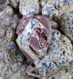 7.5cms GEM RHODOCHROSITE CRYSTALS PERU UCHUCCHACUA MINE MINERAL SPECIMEN RB394