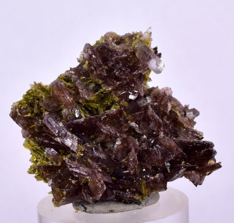 2.8cms PREMIUM EPIDOTE AXINITE QUARTZ CRYSTALS PERU AESTHETIC COLLECTOR CB138