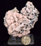 7cms PROUSTITE RED RUBY SILVER PERU UCHUCCHACUA MINE MINERAL SPECIMEN HB150