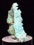 4.2cm SHATTUCKITE ON SELENITE PICKERINGITE CRYSTAL  COLOR PERU CHRYSOCOLLA TB71