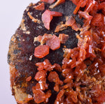 4.2cm VANADINITE HOLLANDITE CRYSTAL MIBLADEN MOROCCO  MINERAL SPECIMEN WB32
