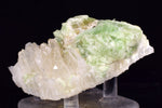 7.5cms AUGELITE CRYSTAL PERU DARK GREEN BRIGHT NEEDLE QUARTZ PASTO BUENO AB233