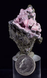 4.5cms RHODOCHROSITE ROSETTE PYRITE CRYSTALS PERU MINERAL SPECIMEN RB529