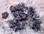4.8cms PROUSTITE RED RUBY SILVER PERU UCHUCCHACUA MINE MINERAL SPECIMEN HB139