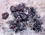 4.8cms PROUSTITE RED RUBY SILVER PERU UCHUCCHACUA MINE MINERAL SPECIMEN HB139