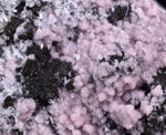 6.5cms RHODOCHROSITE ROSETTE PYRITE CRYSTALS PERU MINERAL SPECIMEN RB573
