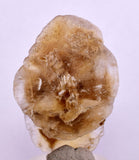 4.5 cms DESERT ROSE SELENITE CRYSTAL PERU GOLDEN SUISEKI TRANSLUCENT TB97