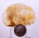 4.8 cms DESERT ROSE SELENITE CRYSTAL PERU GOLDEN SUISEKI TRANSLUCENT TB39